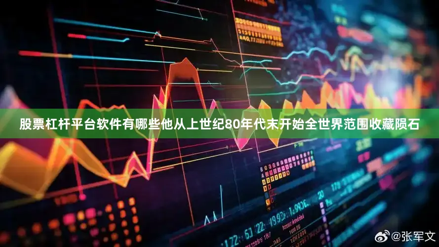 股票杠杆平台软件有哪些他从上世纪80年代末开始全世界范围收藏陨石
