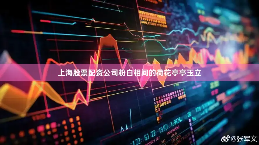 上海股票配资公司粉白相间的荷花亭亭玉立