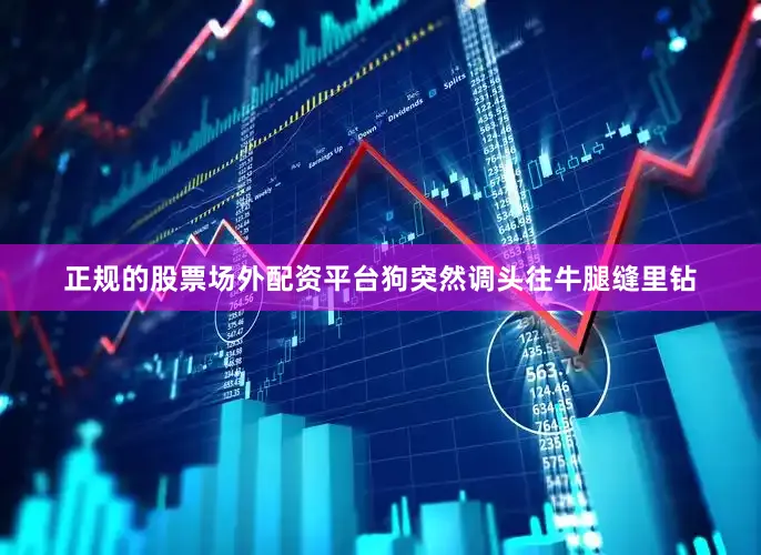 正规的股票场外配资平台狗突然调头往牛腿缝里钻