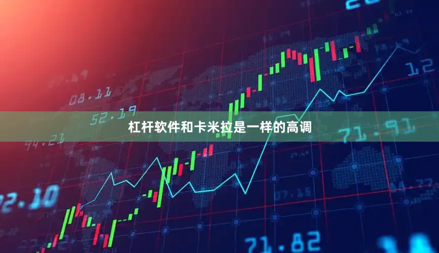 杠杆软件和卡米拉是一样的高调